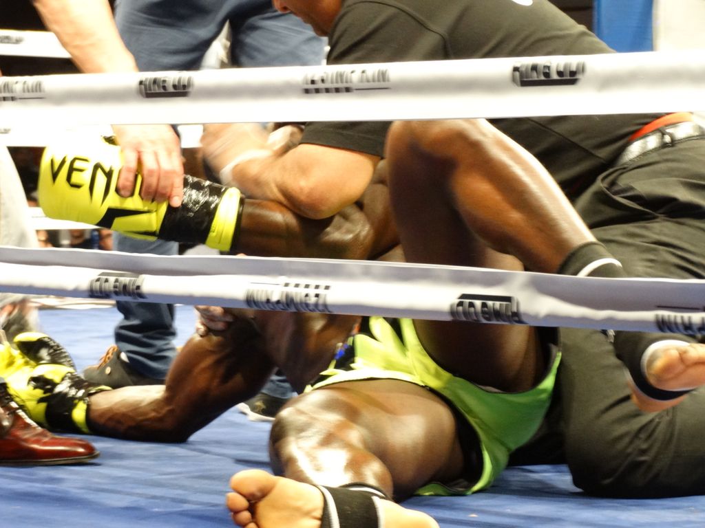 MFC 5.  Lons le Saunier 30 avril 2016 - Energy Fight Club dsc02353.jpg (large)