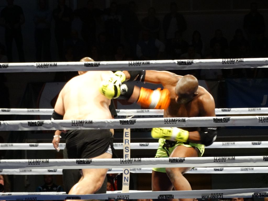 MFC 5.  Lons le Saunier 30 avril 2016 - Energy Fight Club dsc02371.jpg (large)