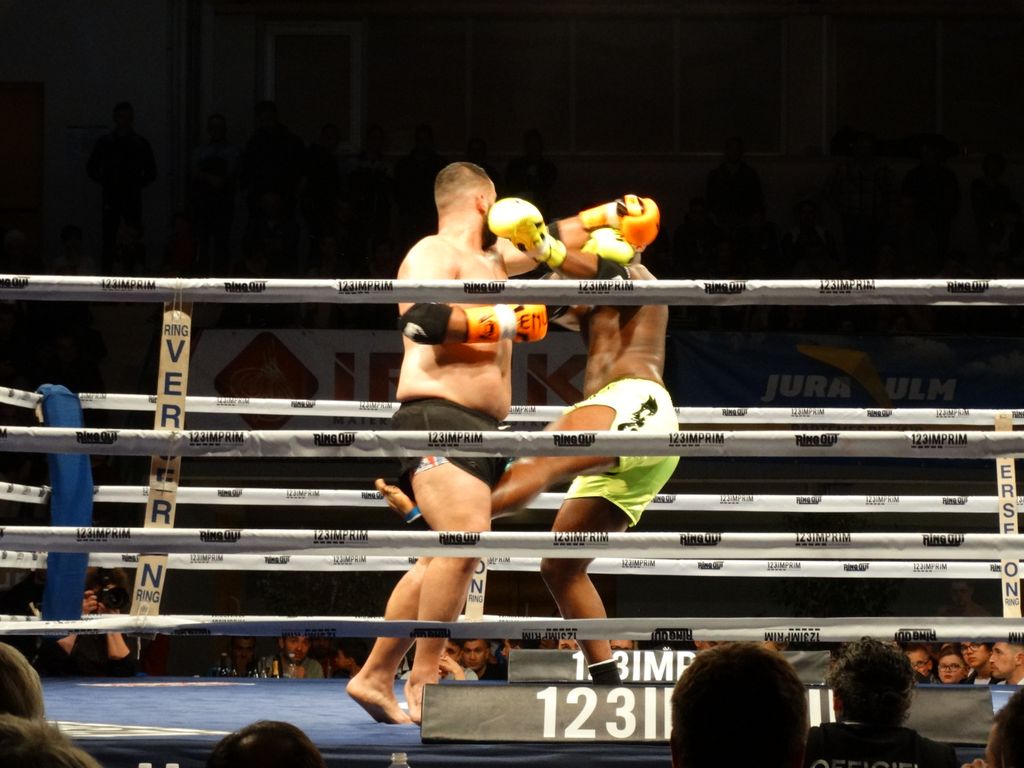 MFC 5.  Lons le Saunier 30 avril 2016 - Energy Fight Club dsc02387.jpg (large)