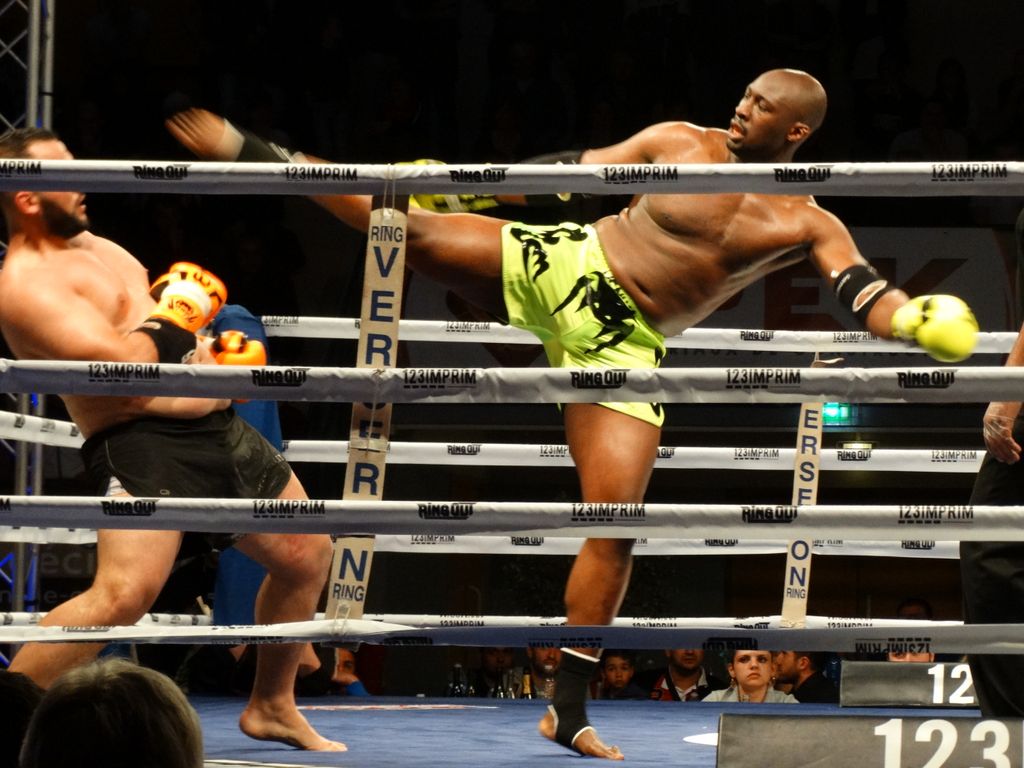MFC 5.  Lons le Saunier 30 avril 2016 - Energy Fight Club dsc02393.jpg (large)