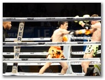 MFC 5.  Lons le Saunier 30 avril 2016 - Energy Fight Club: dsc02209.jpg