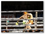 MFC 5.  Lons le Saunier 30 avril 2016 - Energy Fight Club: dsc02350.jpg