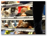 MFC 5.  Lons le Saunier 30 avril 2016 - Energy Fight Club: dsc02352.jpg