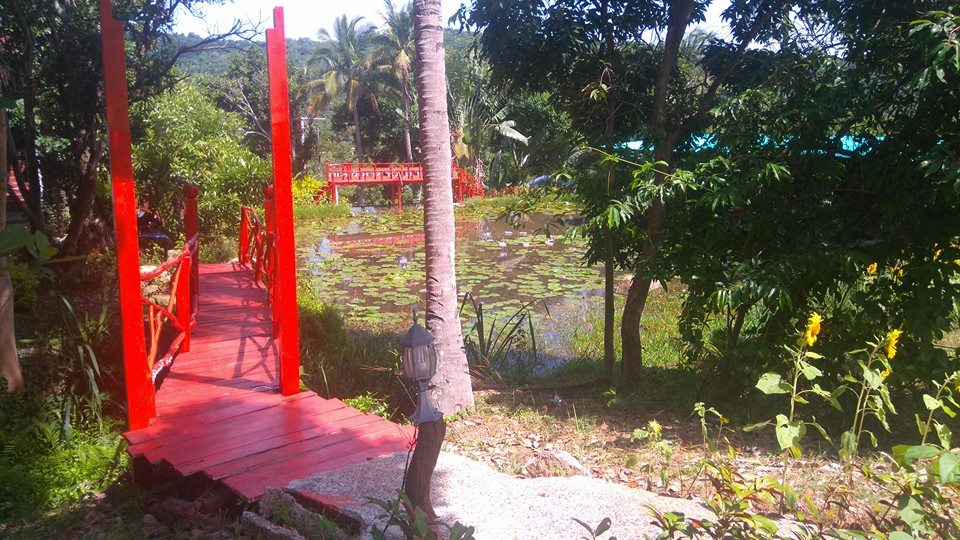  - Energy Fight Club stage_thailande_aout_2016__21_.jpg (large)