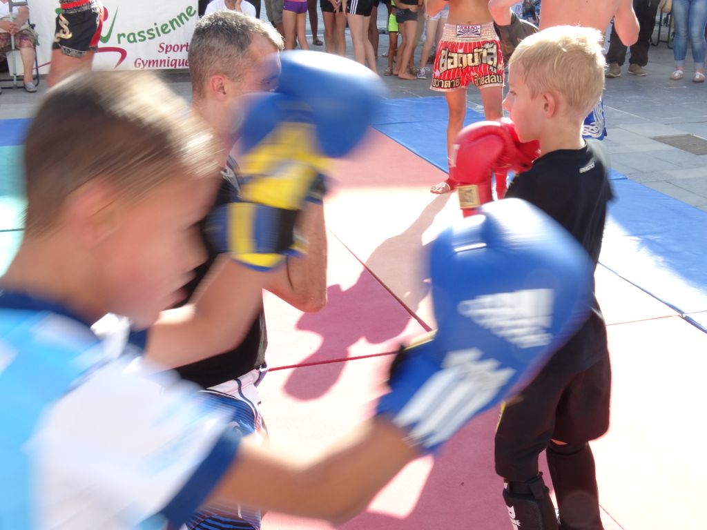 
Fêtes du sport.Lons le Saunier septembre 2016 - Energy Fight Club energy_fight_club__150_.jpg (large)