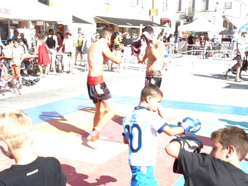 
Fêtes du sport.Lons le Saunier septembre 2016 - Energy Fight Club energy_fight_club__18_.jpg (large)