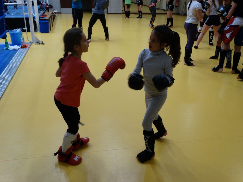 Voeux et galettes 2017 - Energy Fight Club dsc03042.jpg (large)