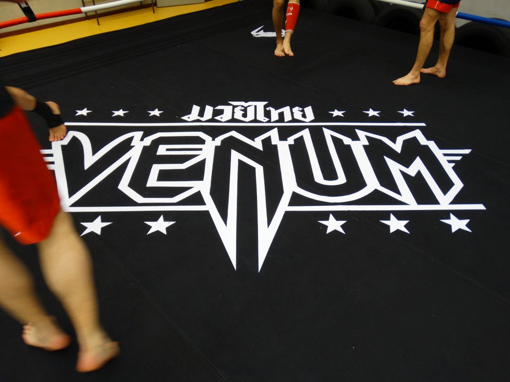 Entrainement 2017 - 2018 avec le nouveau tapis de ring Venum - Energy Fight Club dsc03161.jpg (large)