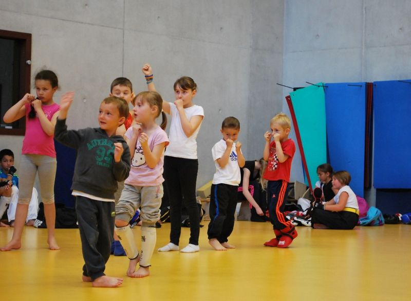 Passage ceintures jeunes 2014 - Energy Fight Club 13.jpg (large)