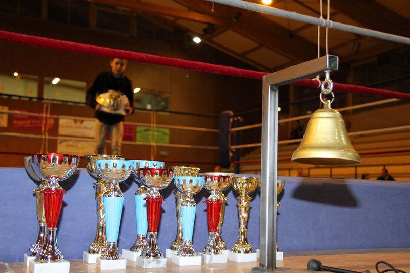 Gala 2014 - Energy Fight Club img_1775.jpg (large)