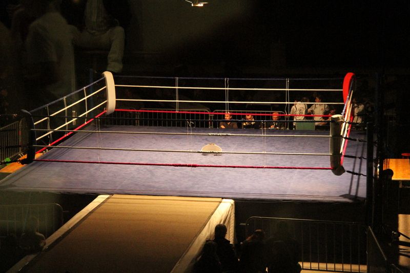 Gala 2014 - Energy Fight Club img_1780.jpg (large)