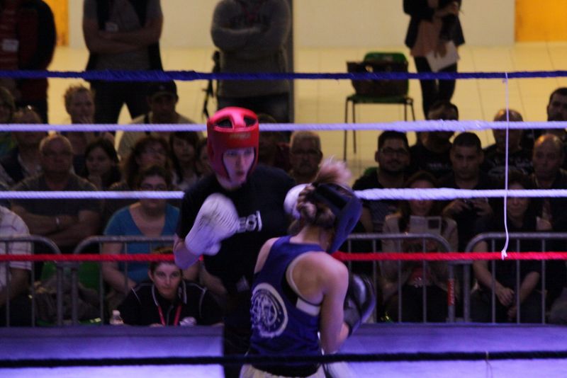 Gala 2014 - Energy Fight Club img_5363.jpg (large)