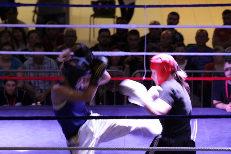 Gala 2014 - Energy Fight Club img_5365.jpg (large)