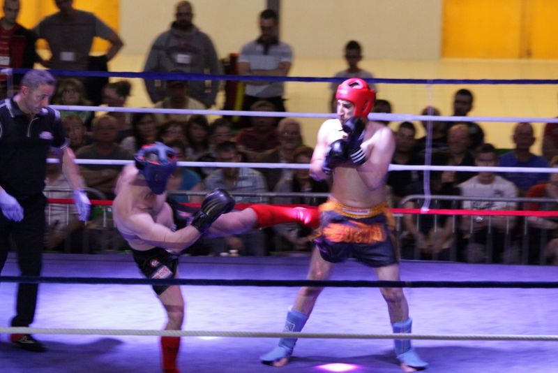 Gala 2014 - Energy Fight Club img_5442.jpg (large)