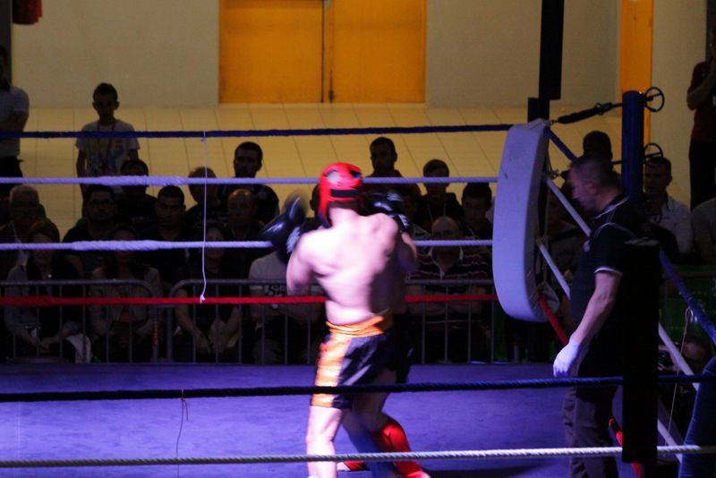 Gala 2014 - Energy Fight Club img_5444.jpg (large)