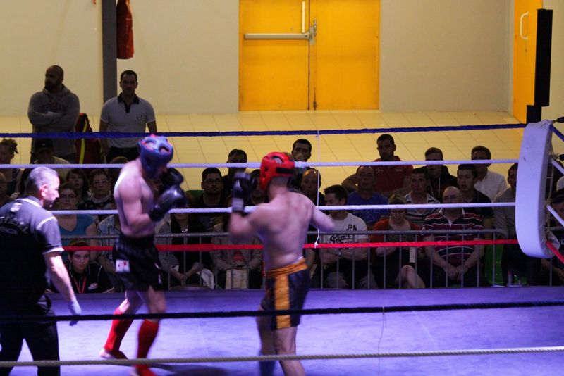 Gala 2014 - Energy Fight Club img_5450.jpg (large)