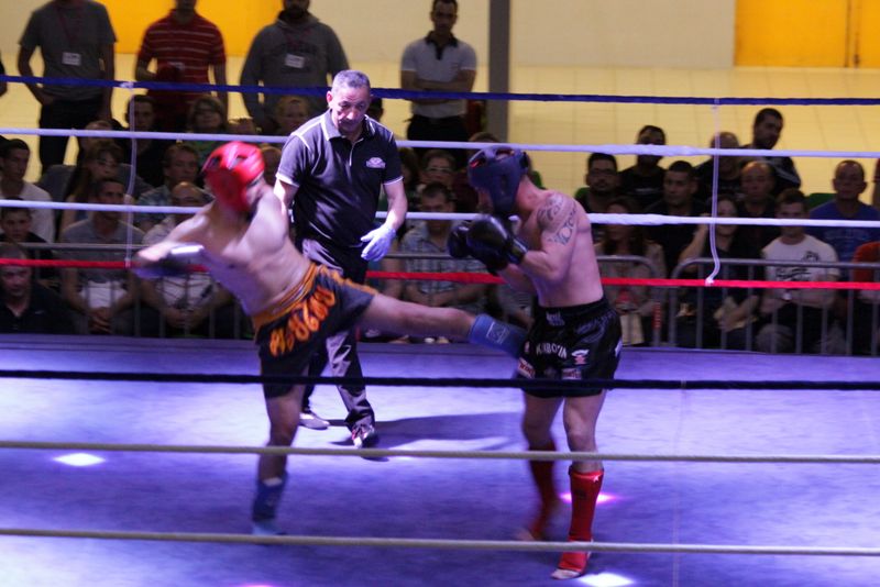 Gala 2014 - Energy Fight Club img_5470.jpg (large)
