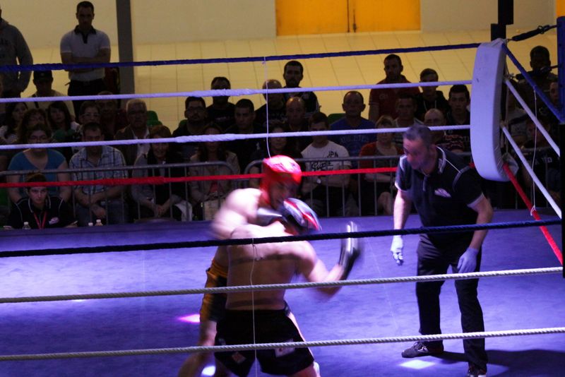 Gala 2014 - Energy Fight Club img_5476.jpg (large)