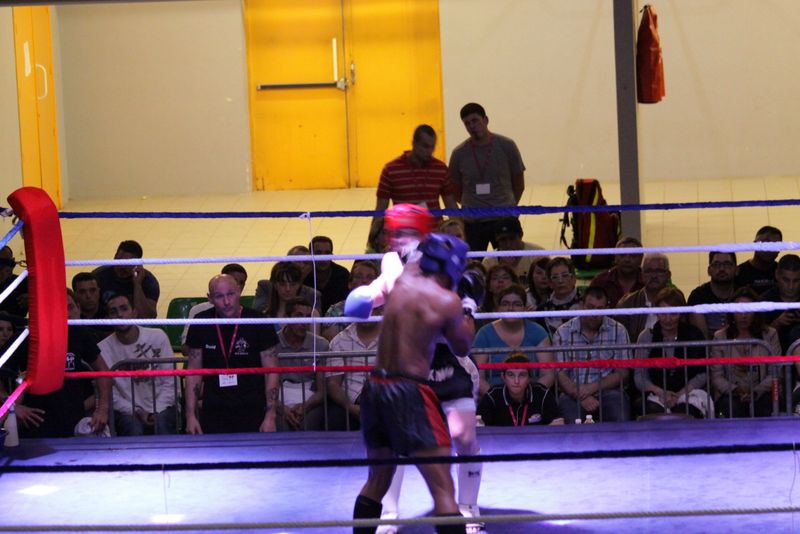 Gala 2014 - Energy Fight Club img_5502.jpg (large)