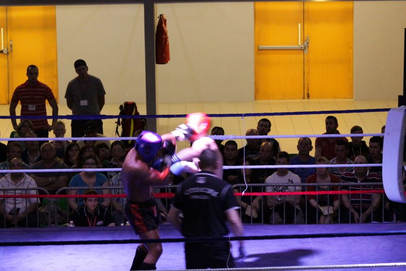 Gala 2014 - Energy Fight Club img_5504.jpg (large)