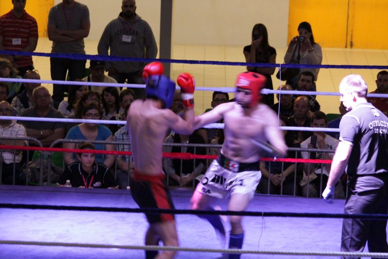 Gala 2014 - Energy Fight Club img_5507.jpg (large)