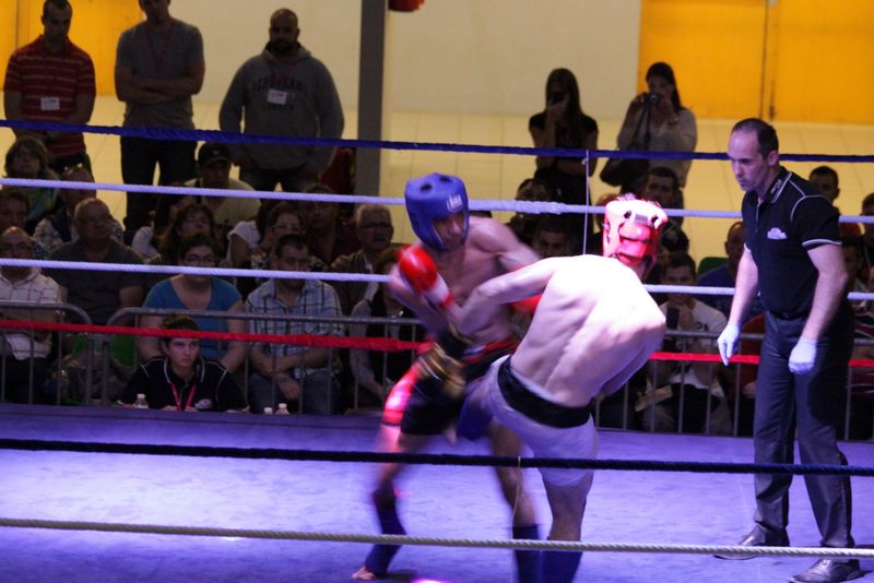 Gala 2014 - Energy Fight Club img_5511.jpg (large)