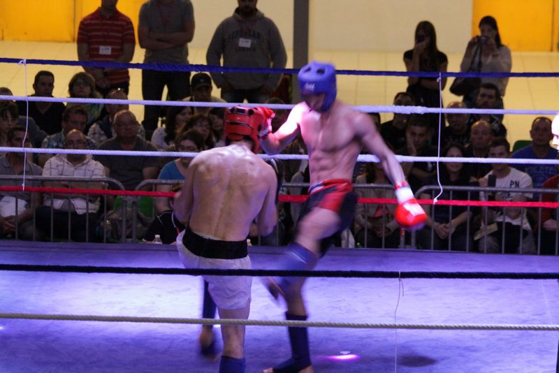 Gala 2014 - Energy Fight Club img_5512.jpg (large)