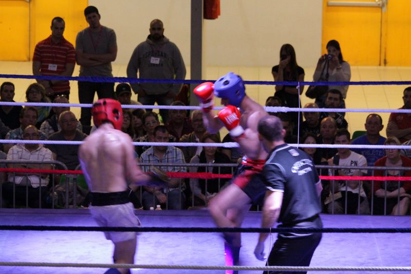 Gala 2014 - Energy Fight Club img_5513.jpg (large)