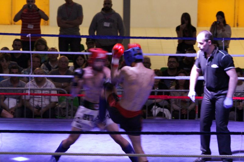 Gala 2014 - Energy Fight Club img_5519.jpg (large)