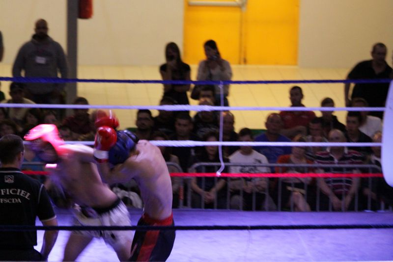 Gala 2014 - Energy Fight Club img_5523.jpg (large)
