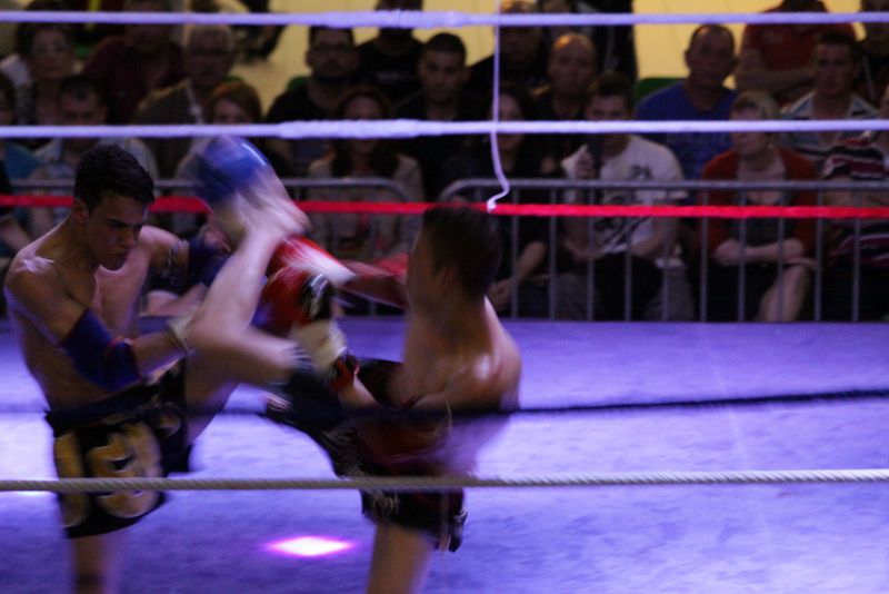 Gala 2014 - Energy Fight Club img_5542.jpg (large)