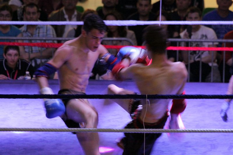 Gala 2014 - Energy Fight Club img_5549.jpg (large)