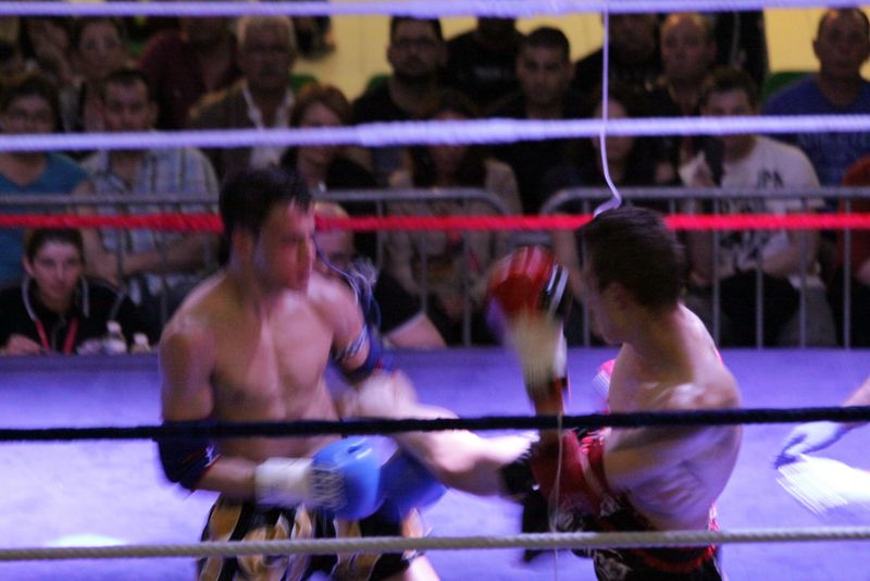 Gala 2014 - Energy Fight Club img_5550.jpg (large)