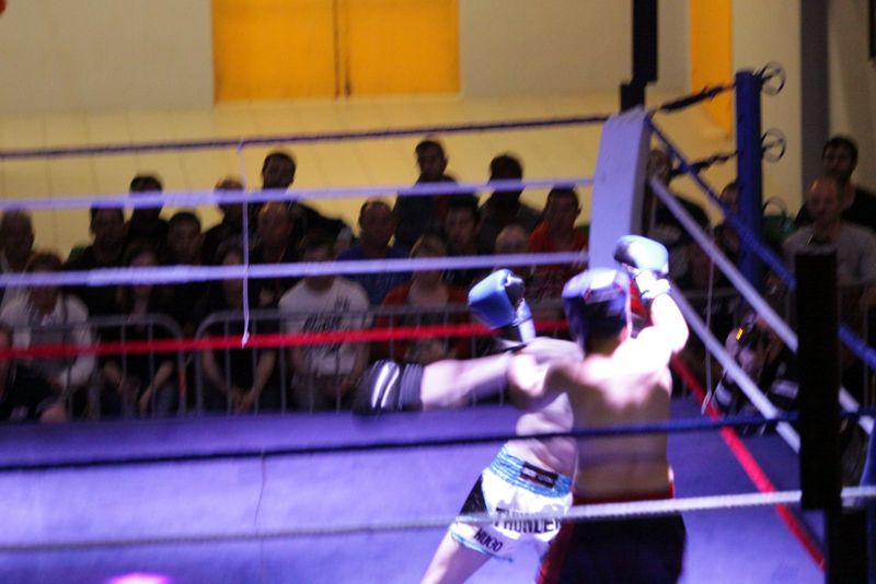 Gala 2014 - Energy Fight Club img_5585.jpg (large)
