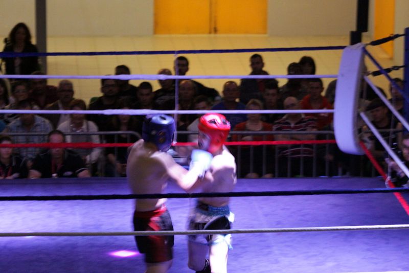 Gala 2014 - Energy Fight Club img_5593.jpg (large)