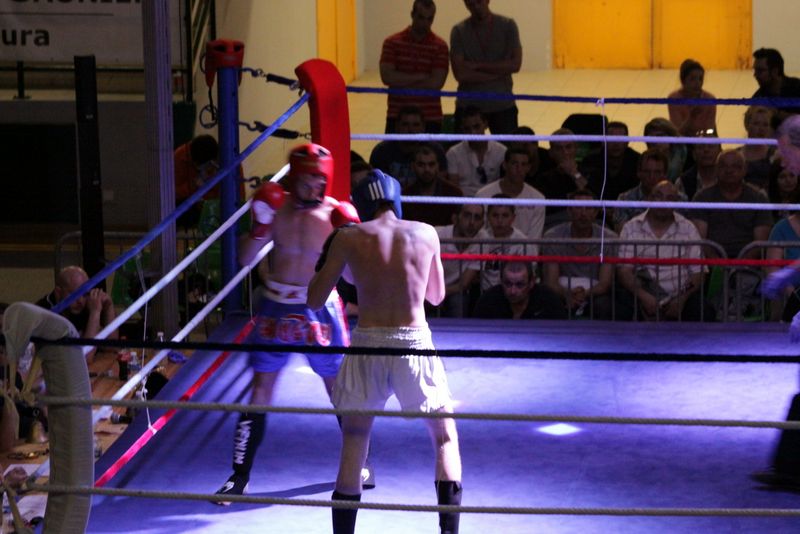 Gala 2014 - Energy Fight Club img_5625.jpg (large)