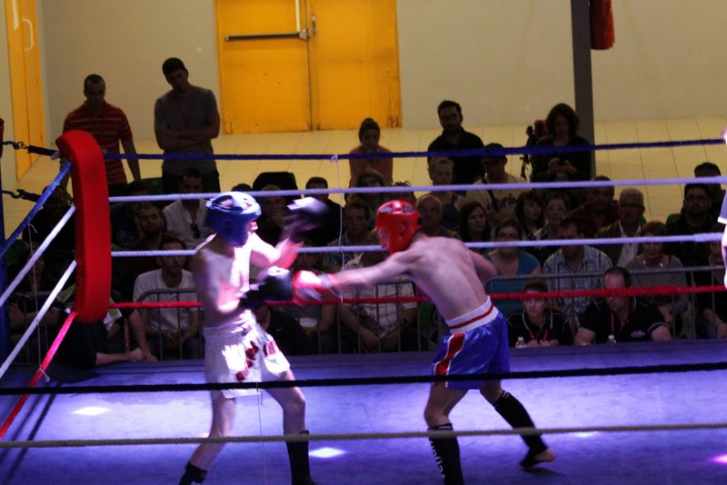 Gala 2014 - Energy Fight Club img_5631.jpg (large)