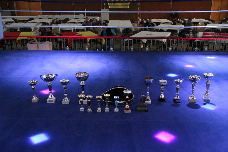 Gala 2014 - Energy Fight Club img_6907.jpg (large)