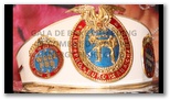 Gala 2014 - Energy Fight Club: gala_de_boxe_2013.jpg