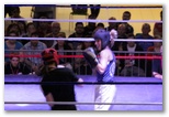 Gala 2014 - Energy Fight Club: img_5366.jpg