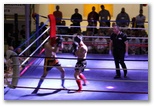 Gala 2014 - Energy Fight Club: img_5430.jpg