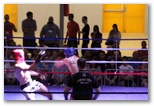 Gala 2014 - Energy Fight Club: img_5521.jpg