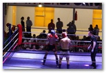 Gala 2014 - Energy Fight Club: img_5528.jpg