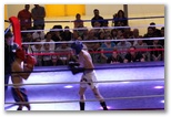 Gala 2014 - Energy Fight Club: img_5629.jpg