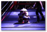 Gala 2014 - Energy Fight Club: img_5671.jpg