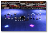 Gala 2014 - Energy Fight Club: img_6906.jpg