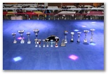 Gala 2014 - Energy Fight Club: img_6908.jpg