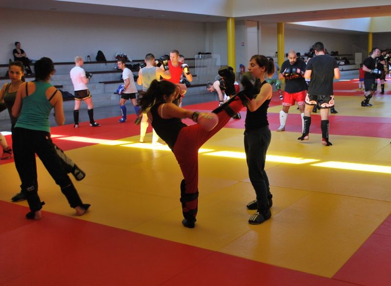 Stage boxe thaï 2014 - Energy Fight Club 19.jpg (large)