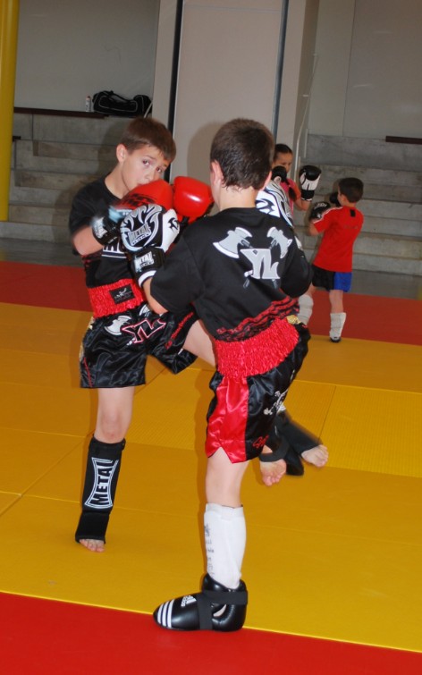 Stage boxe thaï 2014 - Energy Fight Club 32.jpg (large)