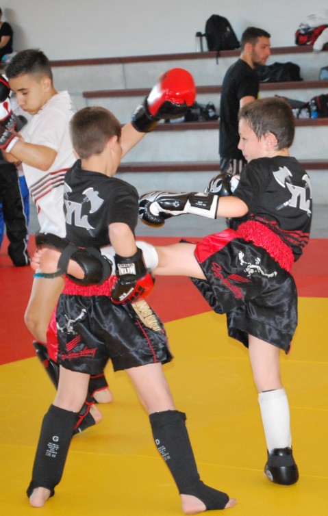 Stage boxe thaï 2014 - Energy Fight Club 34.jpg (large)